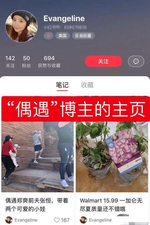娱乐爆料怎么拍出来的啊,镜头下的真相捕捉  第3张