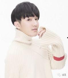 娱乐圈爆料男艺人的小说,揭秘男艺人背后的秘密  第3张