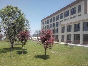 贵州金沙中学爆料新闻 第1张 贵州金沙中学爆料新闻 第1张